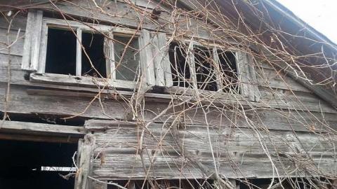 Photo from January 2016