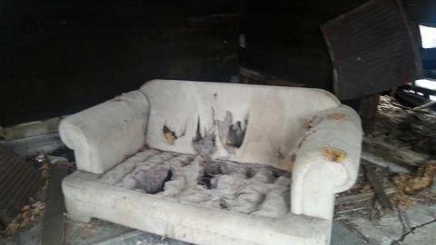 January 2016 - 20160121_125510.jpg