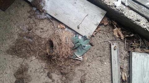 January 2016 - 20160121_125533.jpg