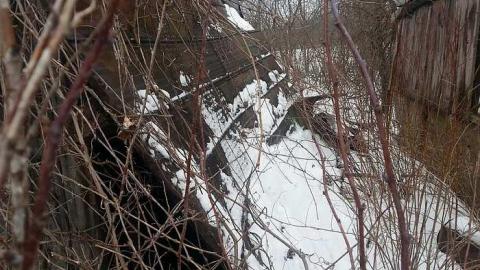 Photo from January 2016