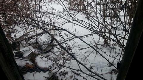 January 2016 - 20160121_125559.jpg