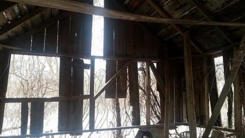 January 2016 - 20160121_125652.jpg