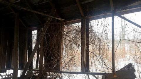 January 2016 - 20160121_125654.jpg