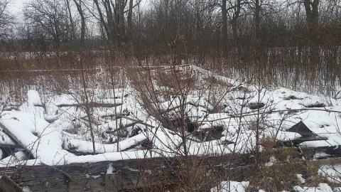 January 2016 - 20160121_125844.jpg