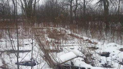 January 2016 - 20160121_125855.jpg