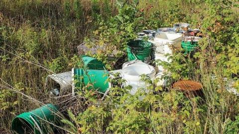 August 2015 - Busy-Bee-Restaurant-Nairn3.jpg