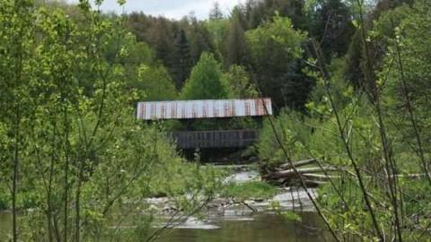 Patly Mill of Whitby photo 5