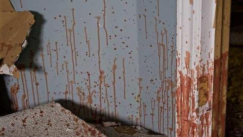 Shoot 'em up. - thumb_DSC_2565_1024.jpg