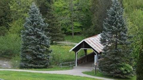 Patly Mill of Whitby photo 2