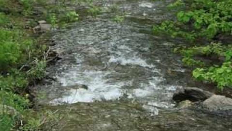 Patly Mills - Patly-Mill-of-Whitby33.jpg