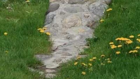 Patly Mills - Patly-Mill-of-Whitby34.jpg