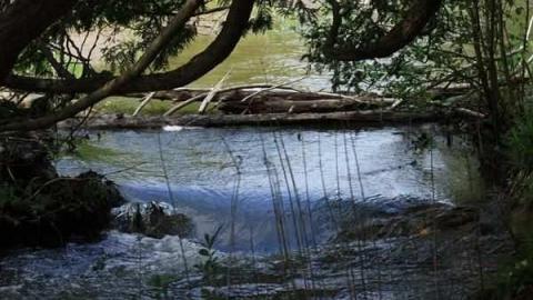 Patly Mills - Patly-Mill-of-Whitby35.jpg