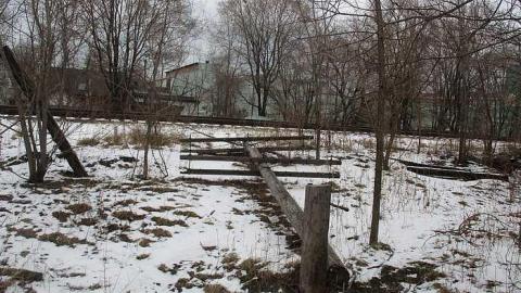 Photo from Snow and Vandalism