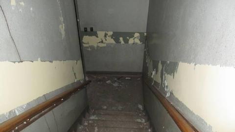 Paint will peel - Century-Manor-Asylum419.jpg