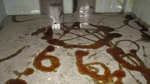 Paint will peel - Century-Manor-Asylum422.jpg