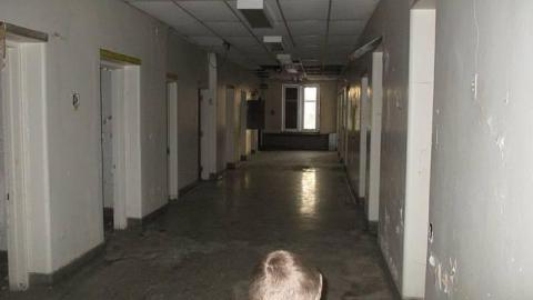 Paint will peel - Century-Manor-Asylum423.jpg