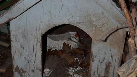 RV Shack - DSC_7693.jpg