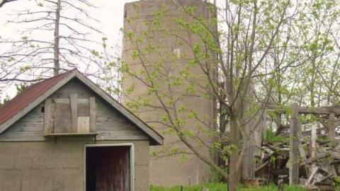 Highbury and Digngman - DSCF3434.jpg