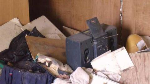 Highbury and Digngman - DSCF3437.jpg