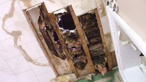 Highbury and Digngman - DSCF3440.jpg