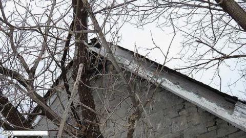 Photo from Third Visit