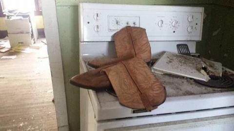 Photo from Home of Horses