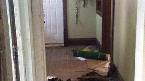 Home of Horses - 20160125_153045.jpg