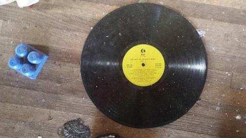 Home of Horses - 20160125_153316.jpg