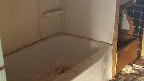 Photo from Home of Horses