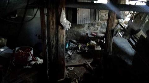 Home of Horses - 20160125_153454.jpg