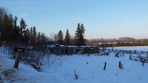 Home of Horses - 20160125_162158.jpg