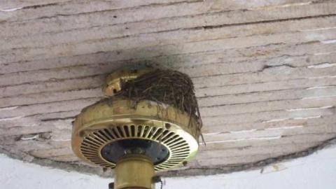 Highbury and Digngman - DSCF3453.jpg