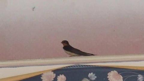 Highbury and Digngman - DSCF3457.jpg