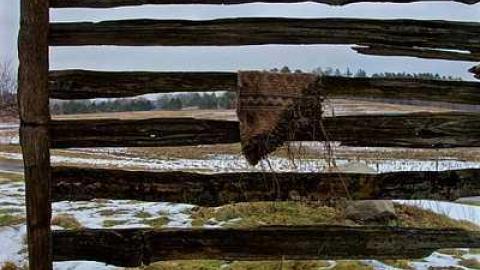 Potential.  - Come-On-In!-3.0-(Merry-Mansion)43.jpg