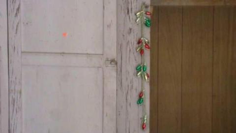 Highbury and Digngman - DSCF3461.jpg