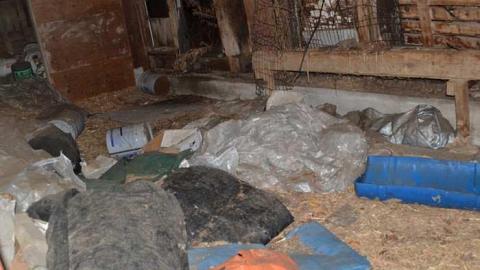 Losing our Heritage Dec. 2015 - DSC_0917.jpg