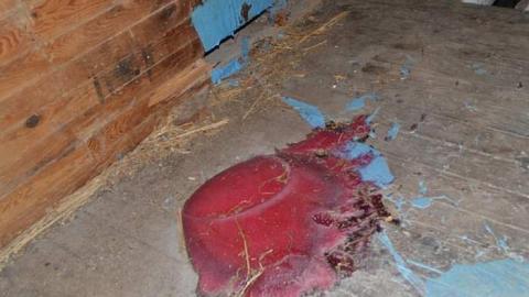 Losing our Heritage Dec. 2015 - DSC_0922.jpg