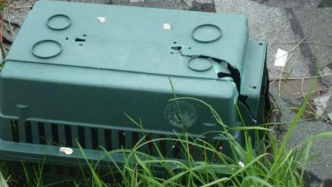 Highbury and Digngman - DSCF3462.jpg