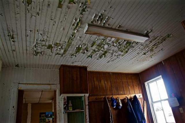 Who Owns These Memories photo 2