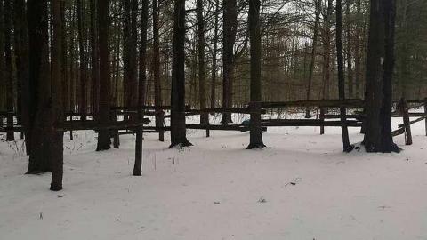 FORT WILLOW - Fort-Willow16.jpg