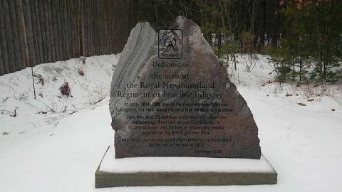 FORT WILLOW - Fort-Willow9.jpg