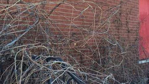 Winter 2016 Visit - 12467965_946626602092943_1545315283_n.jpg