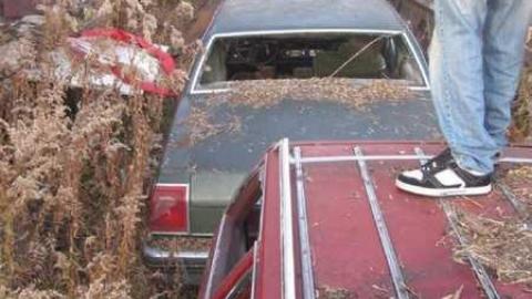 HWY 407 - Copy of November10 048.jpg