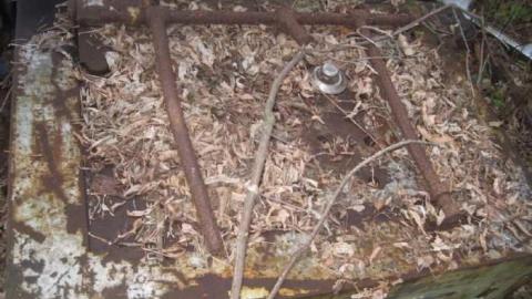 HWY 407 - Copy of November10 051.jpg