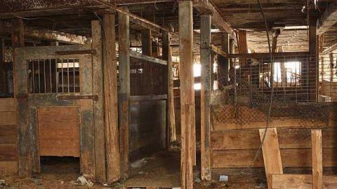 22/01/16 - 403-Barn40.jpg