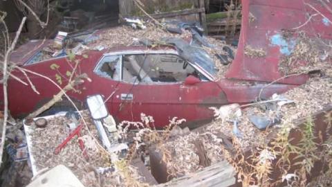 HWY 407 - Copy of November10 049.jpg