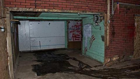 Shades of Blue photo 5