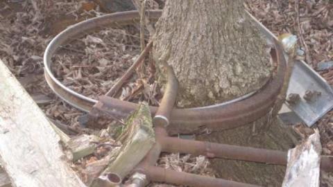 HWY 407 - November10 021.jpg