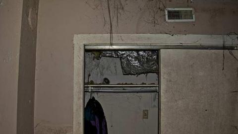 Jan 29 - p-thumb_DSC_2912_1024.jpg