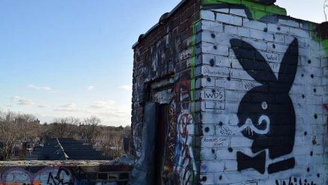 Linseed - Linseed-Factory215.jpg